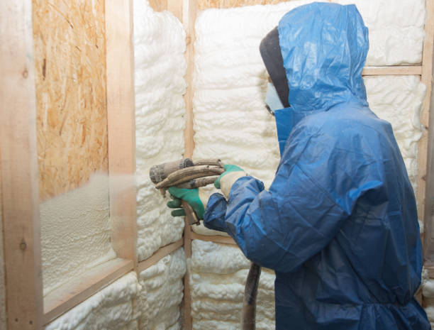 Eco-Friendly Insulation Solutions in Caldwell, ID